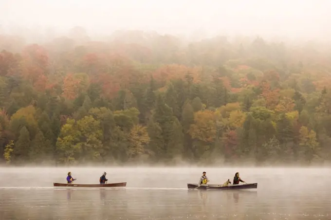 Two young couples canoe on Lake Placid on early autumn morning, Lake Placid, New York, USA