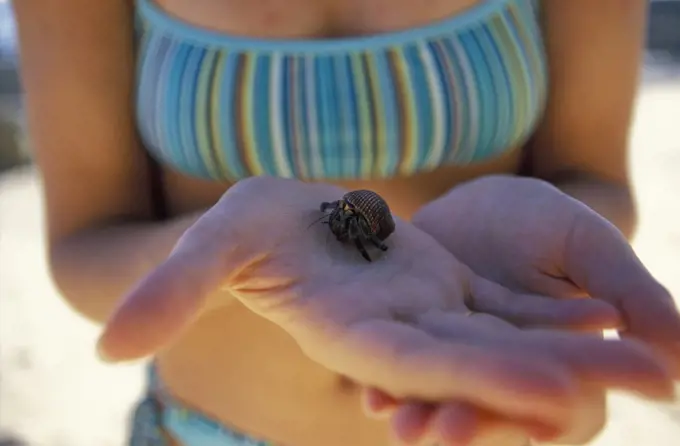 A tiny hermit crab enjoys the view from a young woman's palm on the beach in Mal Pais, Costa Rica