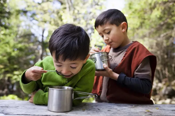 A 4 year old boy and his 6 year old brother eat from stainless steel camp cups while camping at Cyprus Lake Campground, Bruce Peninsula National Park, Ontario, Canada.