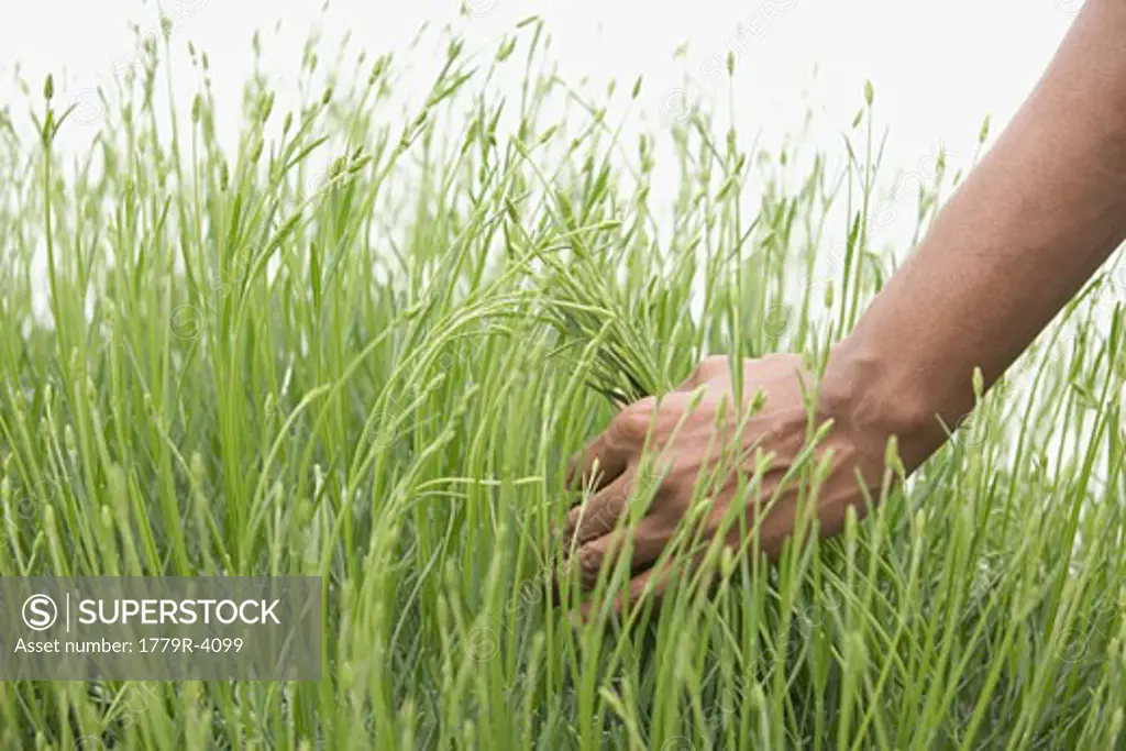 African man grabbing grass