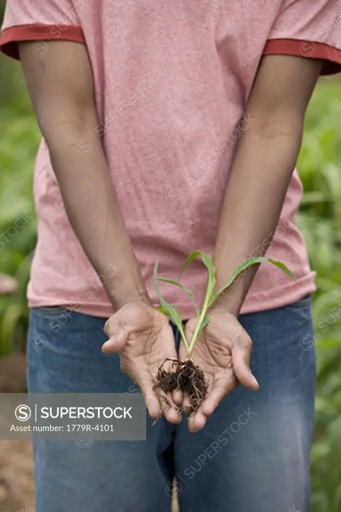 African man holding plant root
