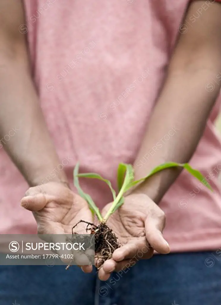 African man holding plant root