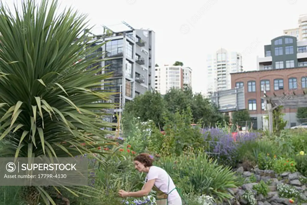 Woman in urban garden