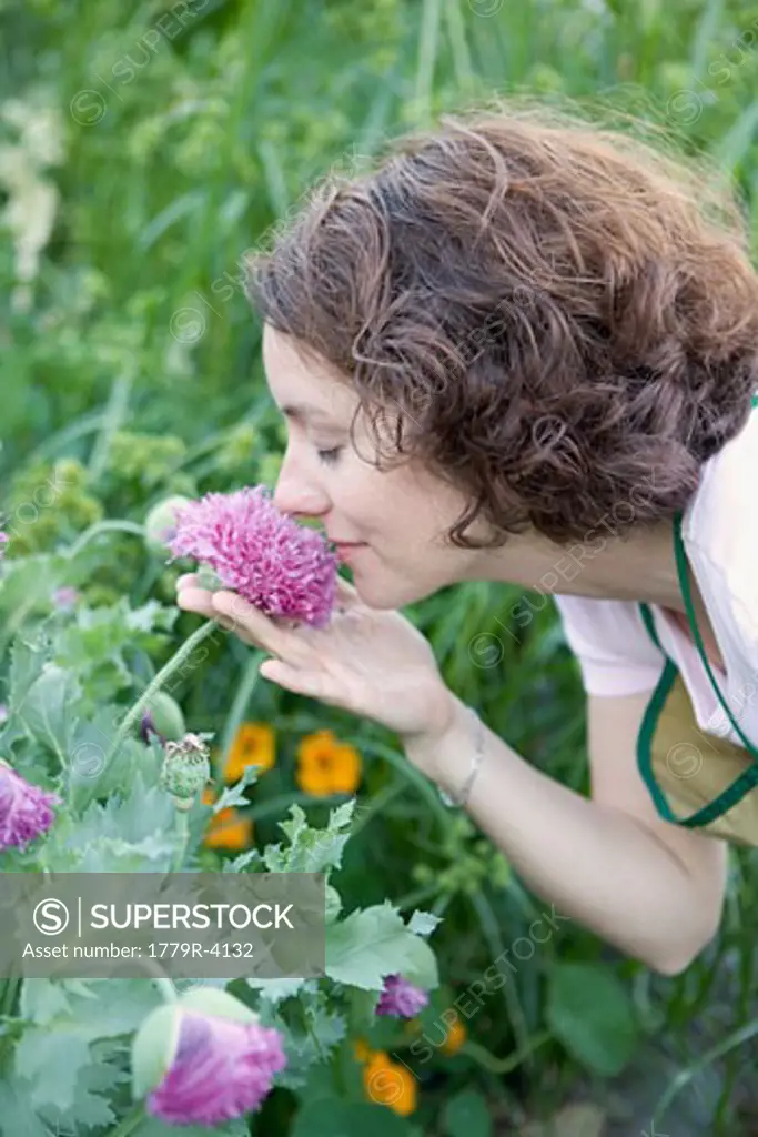 Woman smelling chrysanthemum flower