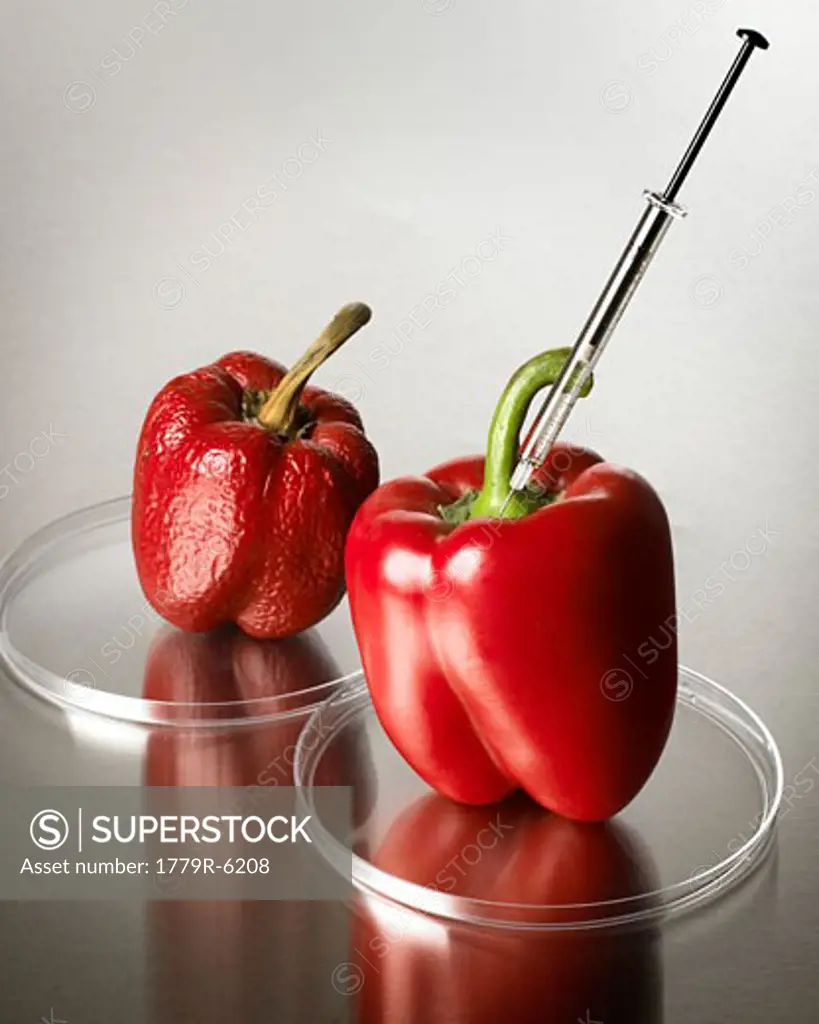 Red bell peppers on petri dishes with syringe