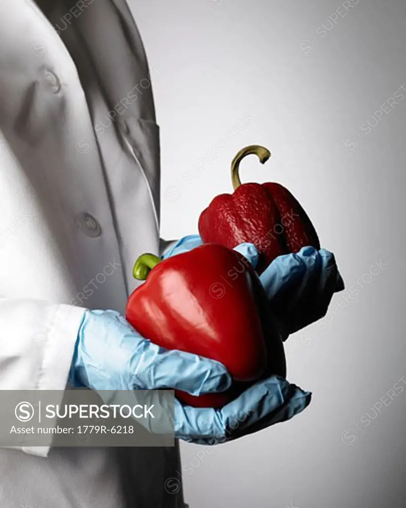 Hands holding ripe and wrinkled red bell peppers
