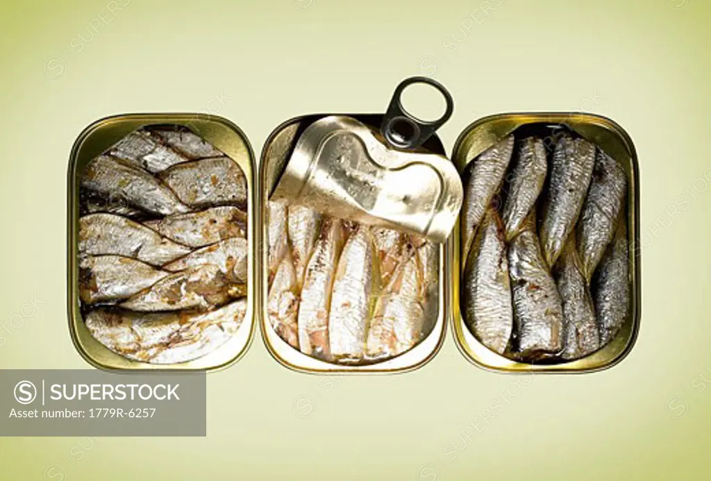 Tins of sardines