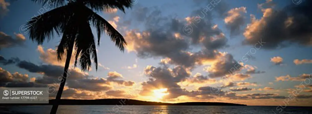 Panoramic view of tropical sunset