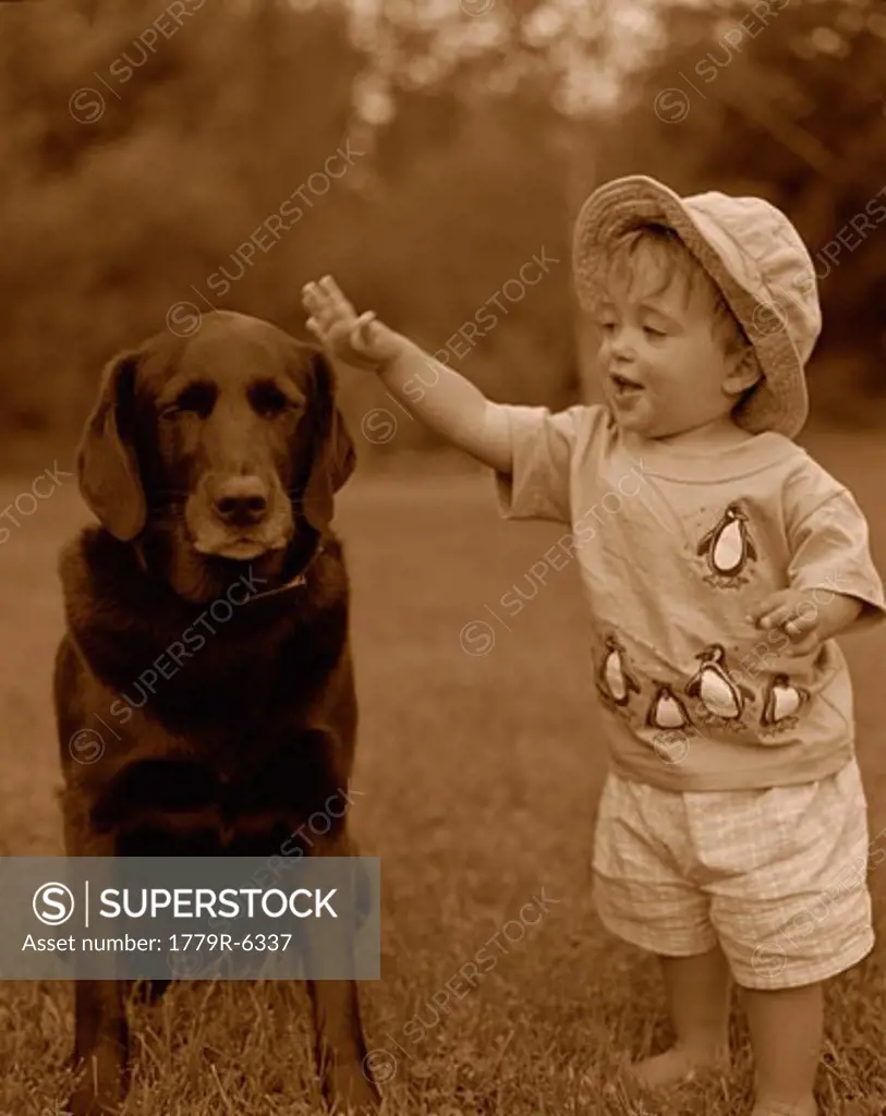 Toddler petting dog