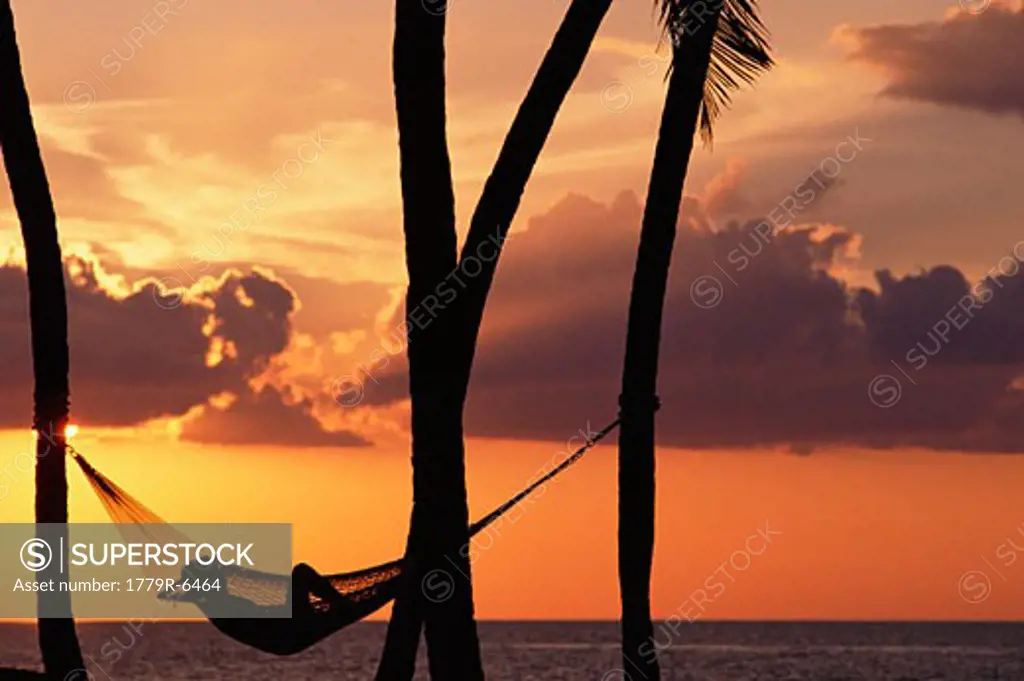 Silhouette of hammock on beach at sunset