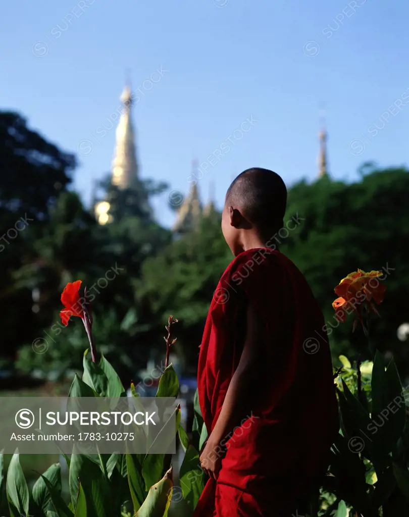 Monk in park near Shwe Dagon Pagoda, Rangoon, Myanmar, Rangoon, Myanmar, Burma