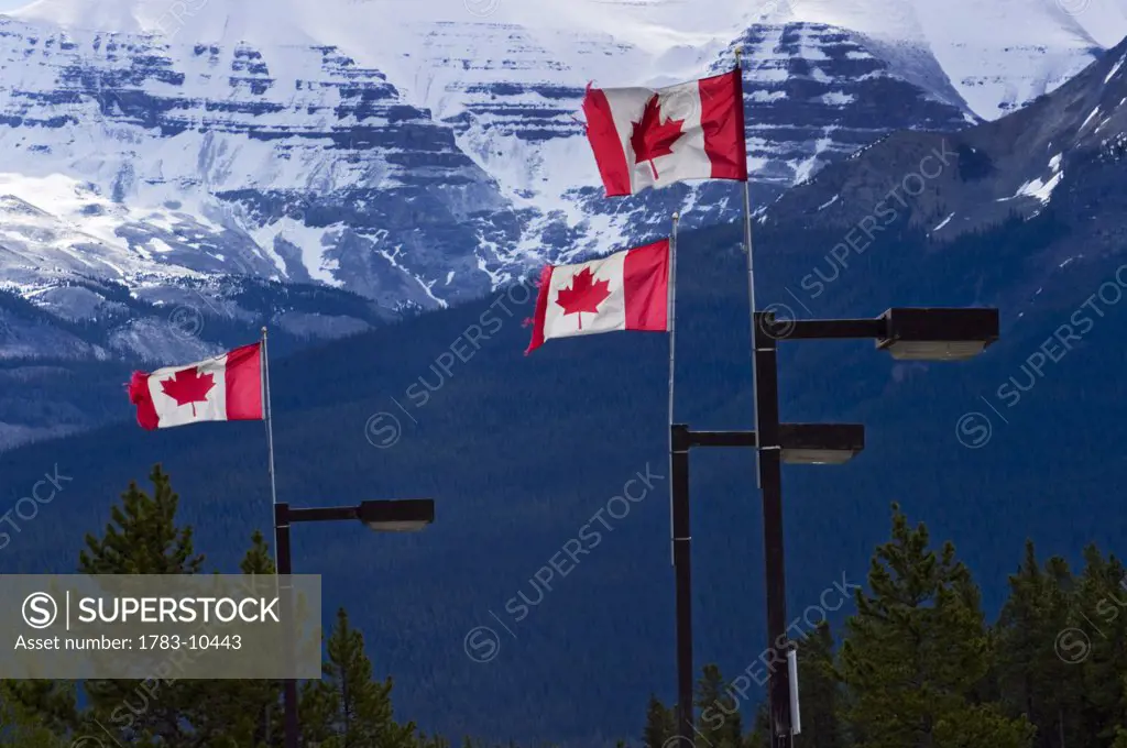 Canadian flags flying in the wind., Canadian Rockies, Canada.