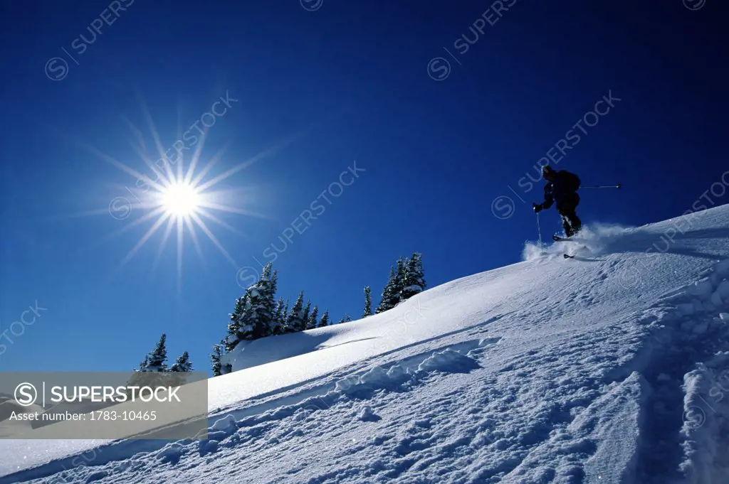 Skier, Canadian Rockies