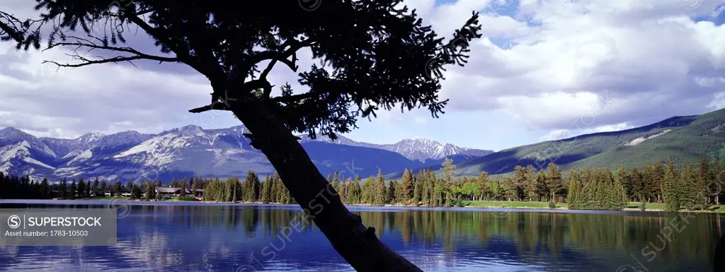 View through tree of mountains and Lake Beauvert , Jasper National Park, Canada