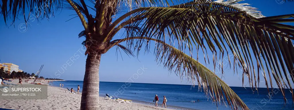 People at beach, palm tree in foreground, Playa Ancon, Trinidad, Cuba.