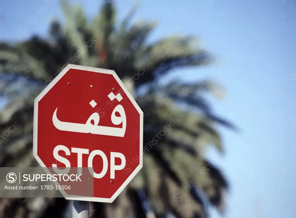 Stop sign in front of date palm, Dubai, United Arab Emirates