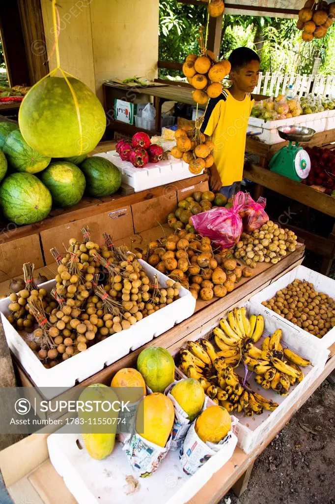 Boy Selling Fruit At Roadside Stall