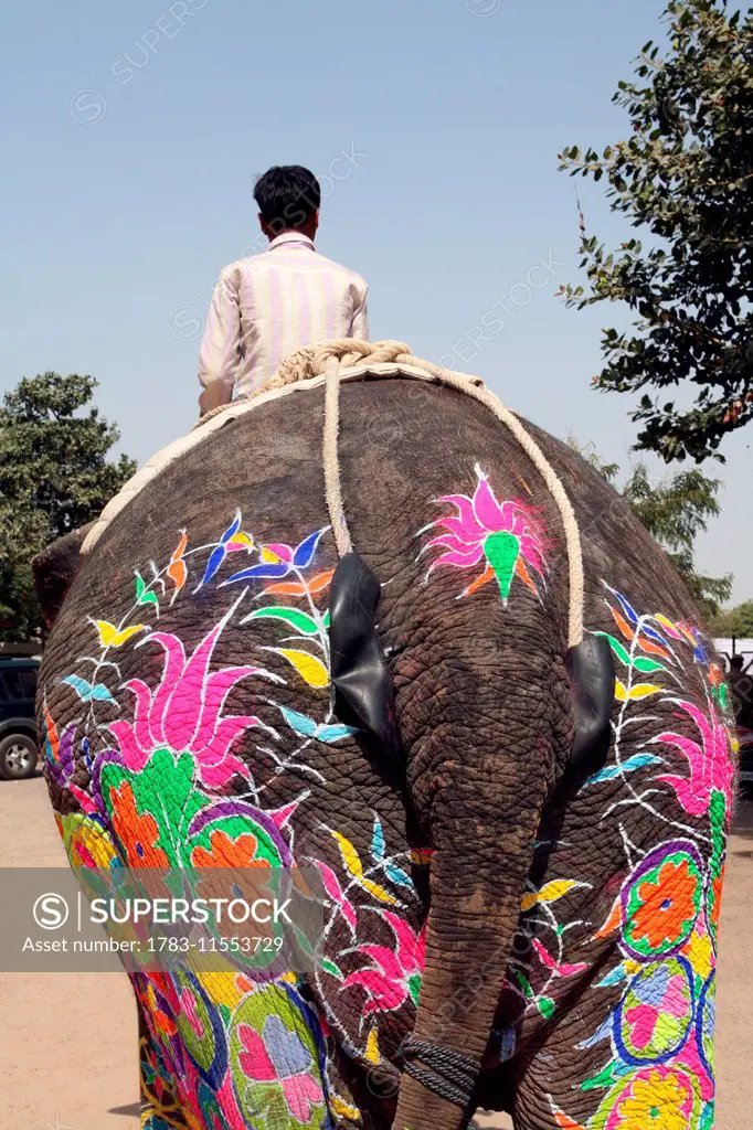 At Elephant Festival, Jaipur, capital of Rajasthan, India. Annual event held at Chaughan Stadium within the Old Walled centre of Jaipur. Popular event...