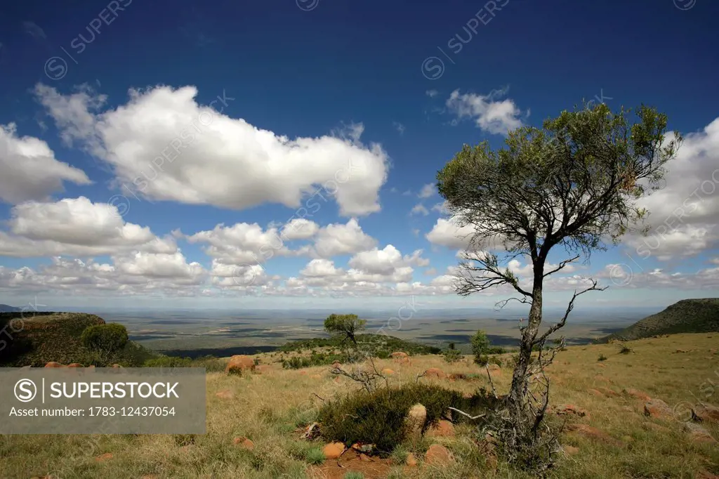 Landscape, Samara Private Game Reserve; South Africa