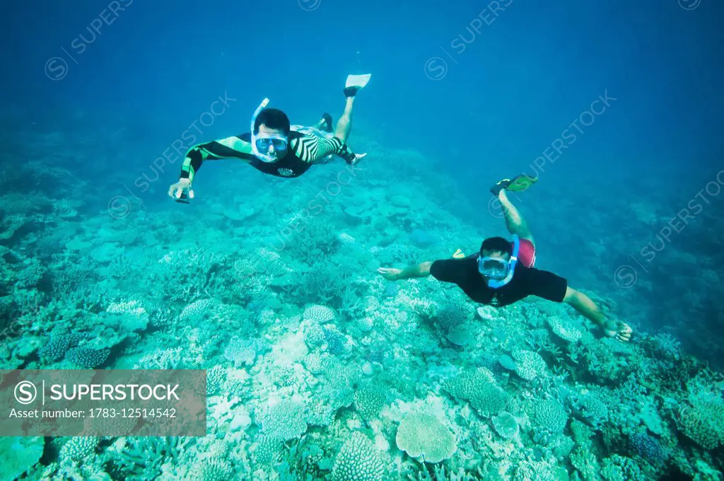 Snorkelling; Vavau, Tonga