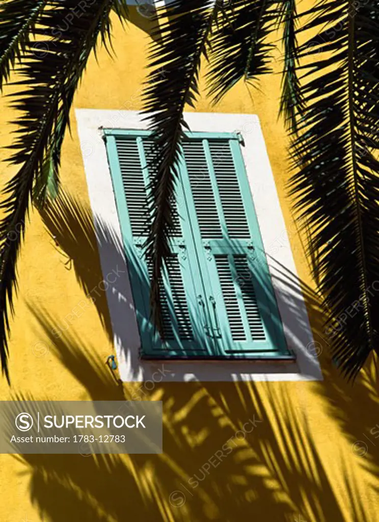 Window with closed shutters behind palm leaf, close up, Nice, Cote D'Azur, France.