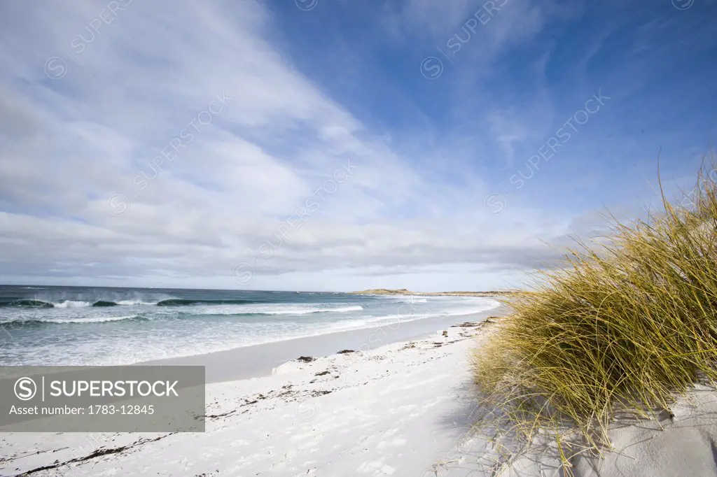 Surf bay close to Port Stanley, Falkland Islands.