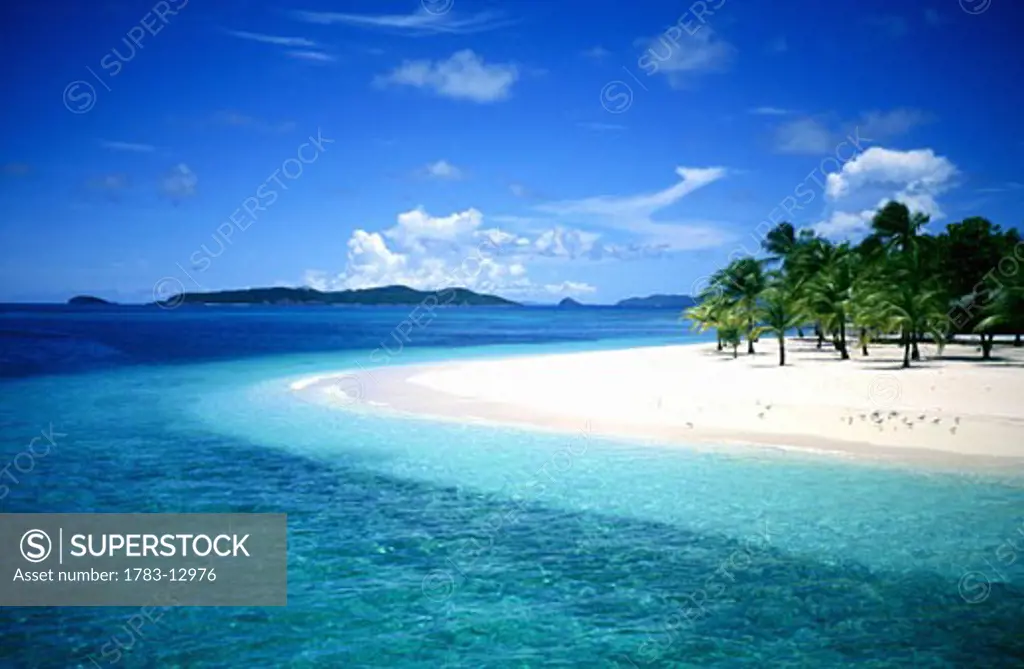 Palm trees on a small island, The Grenadines