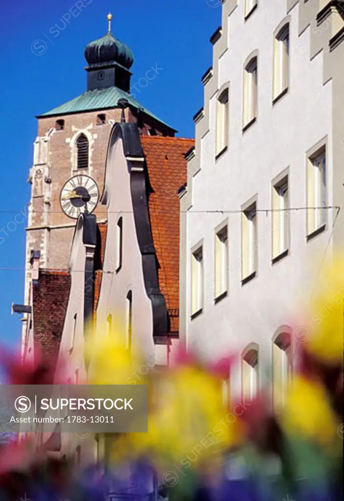 Bavarian clock tower seen through flowers, Ingolstadt, Bavaria, Germany