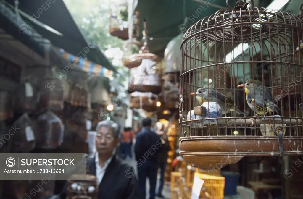 Birds in cage at market, Hong Kong, China.