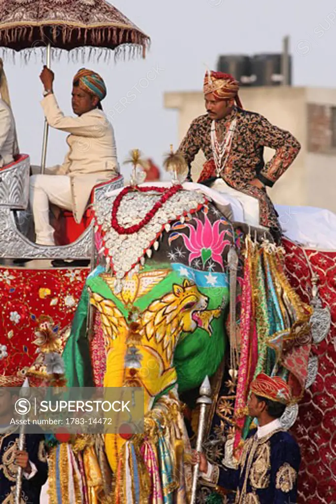 Decorated elephants during Elephant Festival, Jaipur, Rajasthan, India.