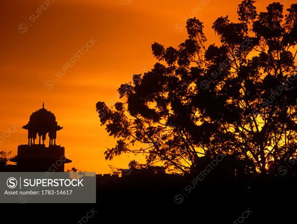 Tree and dome silhouetted at sunset , Jaipur, India