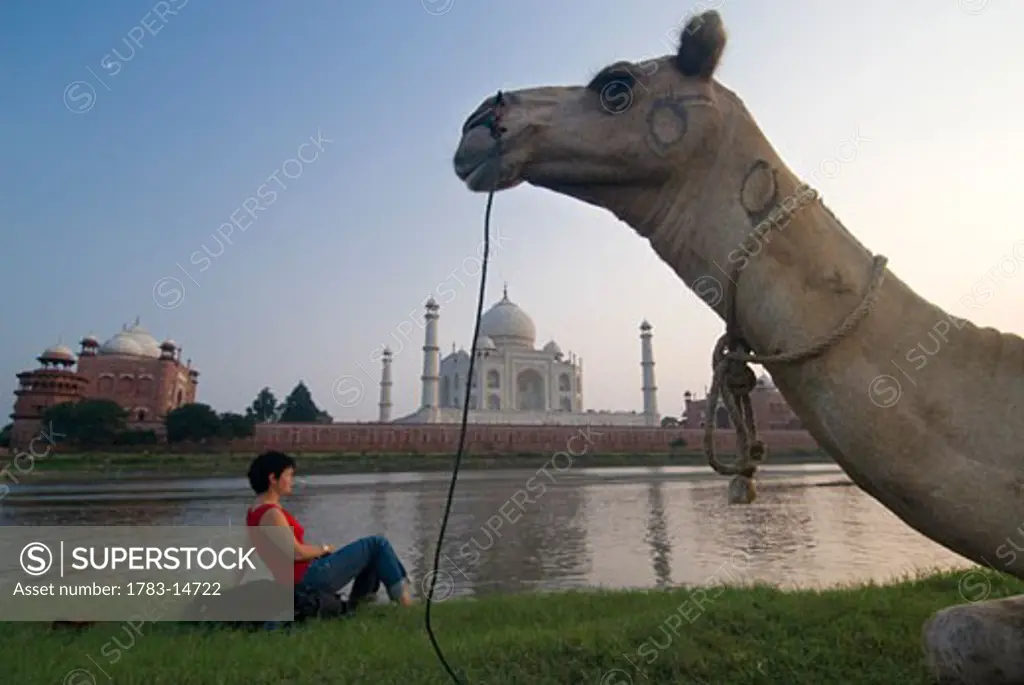 Camel in front of woman sitting on rucksack admiring the Taj Mahal, Agra, Uttar Pradesh, India