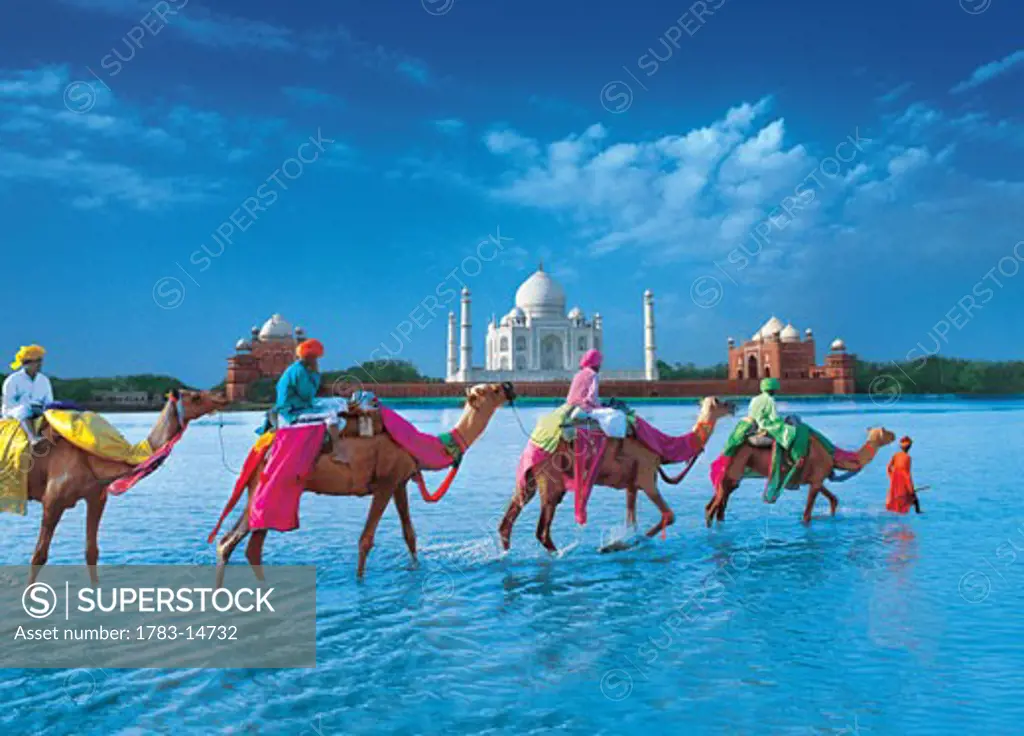Men on camels walking through river with Taj Mahal in the background, Agra, India