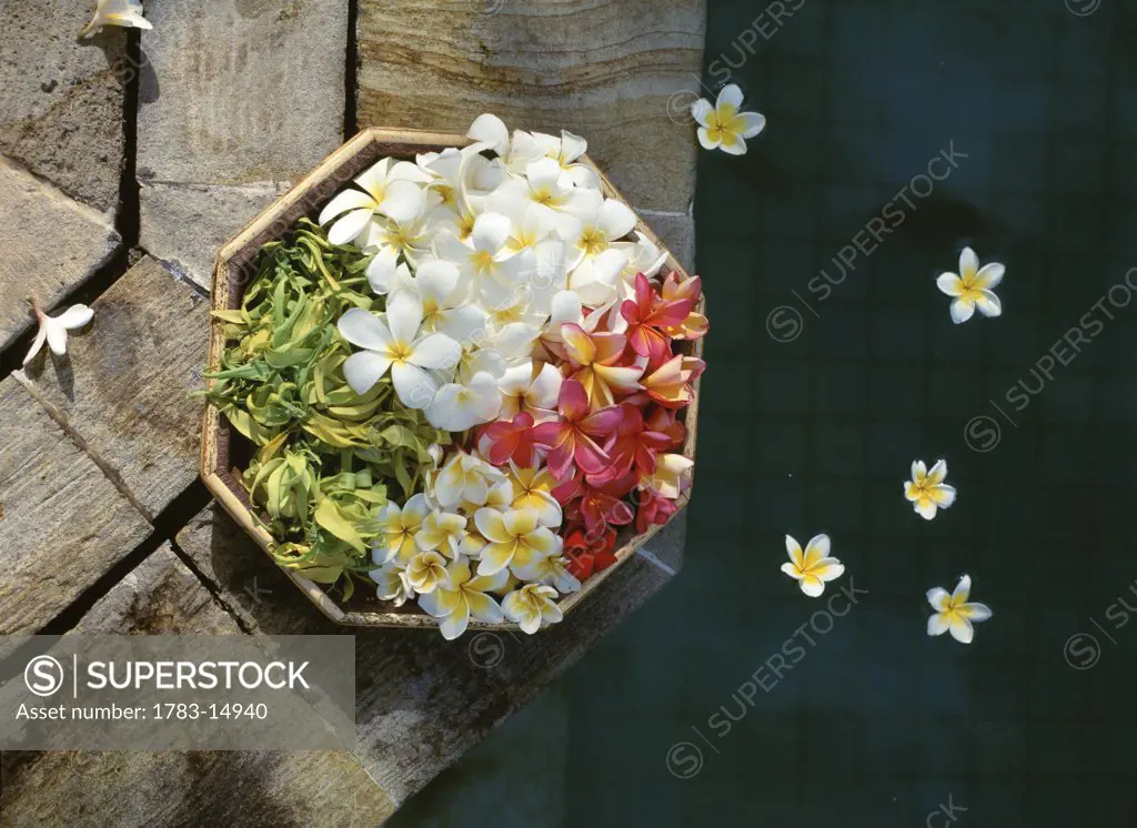 Flower blossoms in a bowl by a pool, close up, Lombok, Indonesia