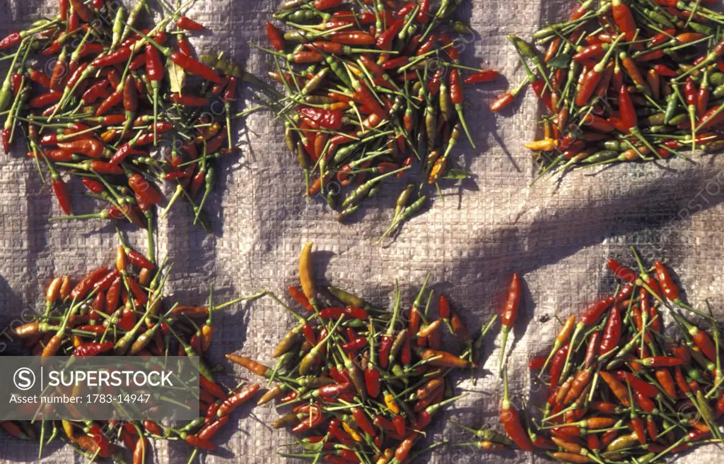 Chilies in market, Close Up, Dobo town, Wamer Island, Aru Isles, Moluccas, Indonesia
