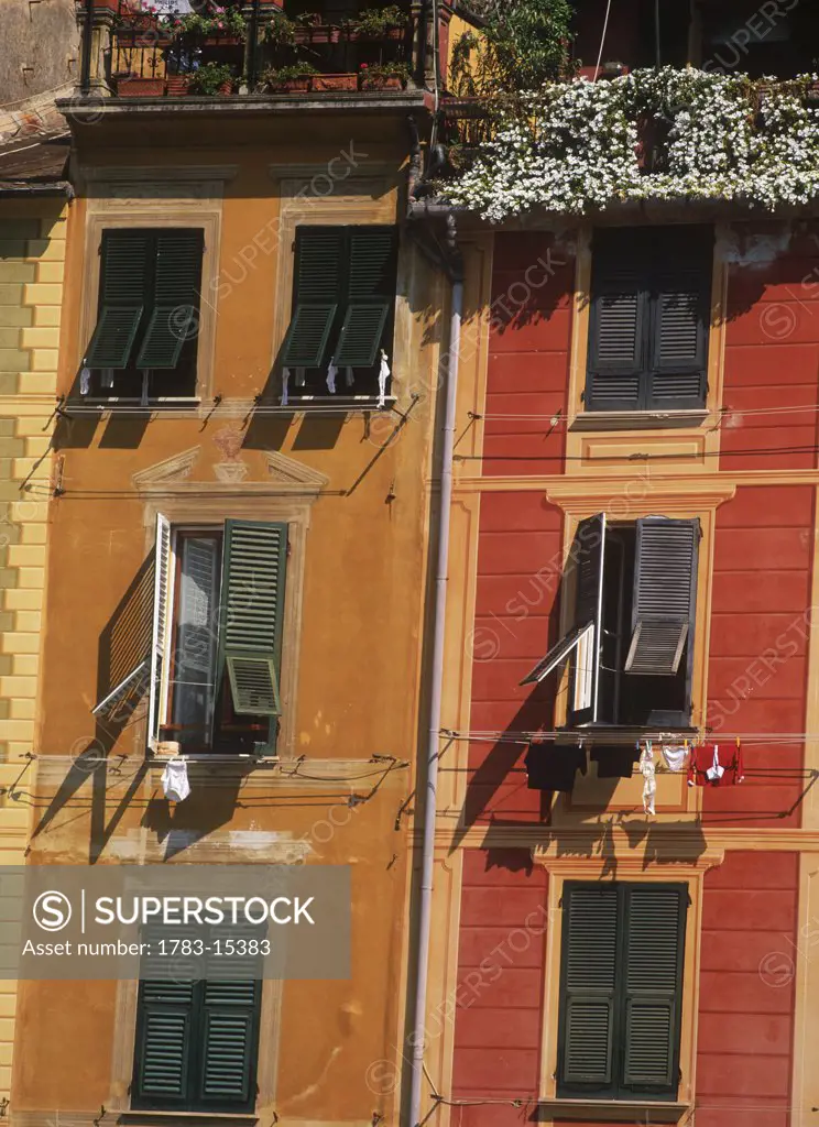 Typical painted buildings and green shutters, Portofino, Liguria, Italy.