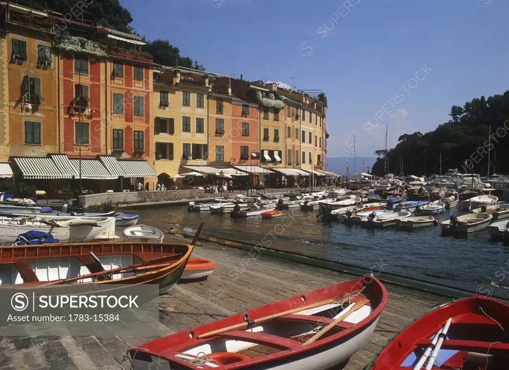 Boats in harbor, Portofino, Liguria, Italy.