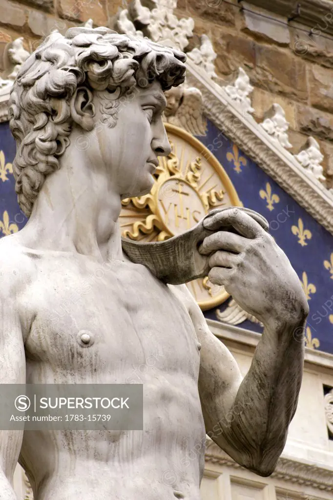 Statue of David infront of Palazzo Vecchio , Piazza della Signoria, Florence, Italy