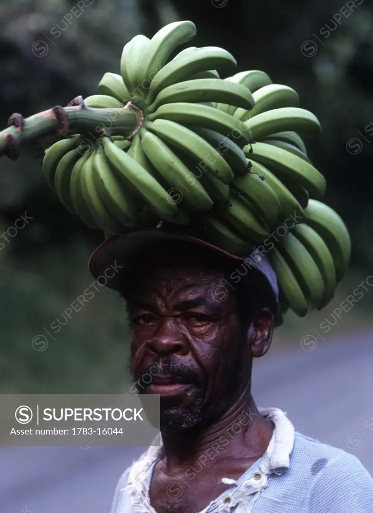 Man carrying large bunch of bananas home in the evening , Islington, Jamaica.