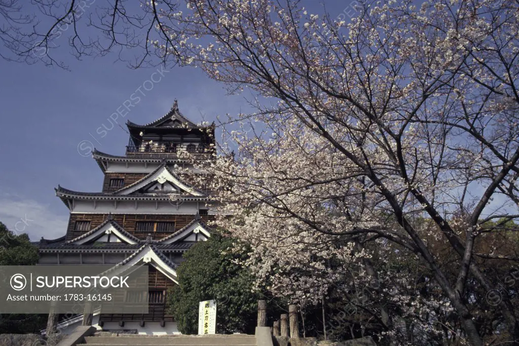 Hiroshima Castle and cherry blossoms in spring, Hiroshima, Japan