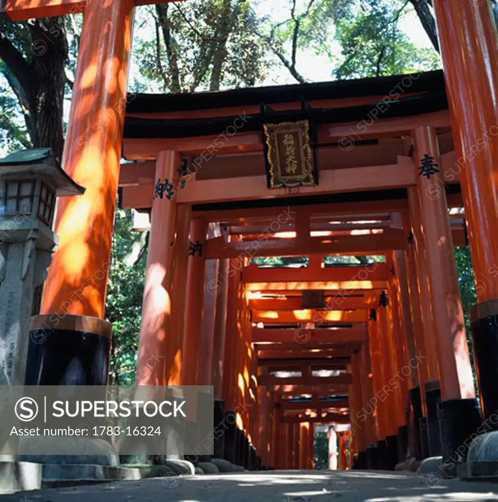 Red torii arches over a path at Inari Temple, Fushimi., Kyoto, Japan.