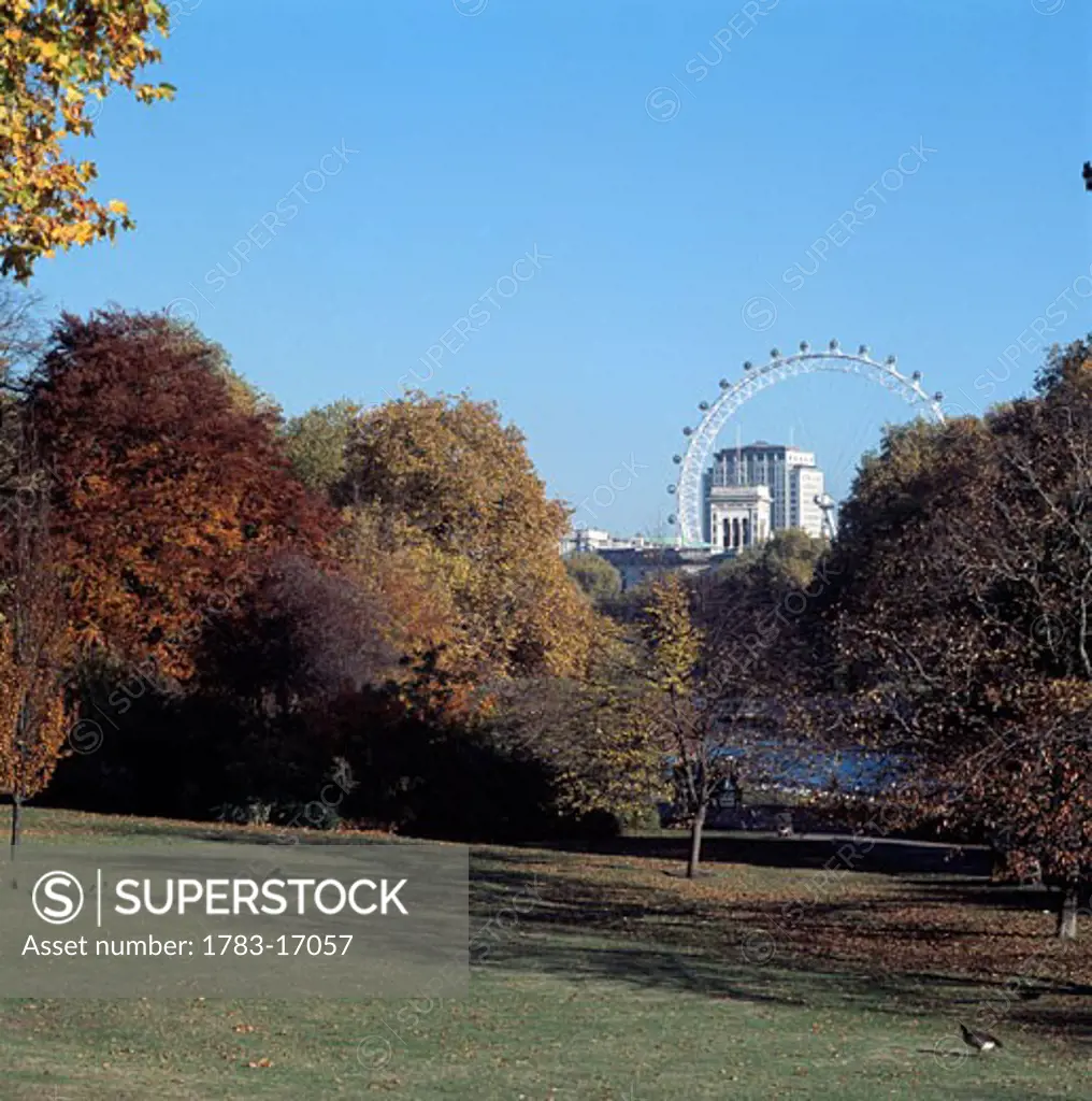 London Eye and Whitehall from St James's Park, London, United Kingdom