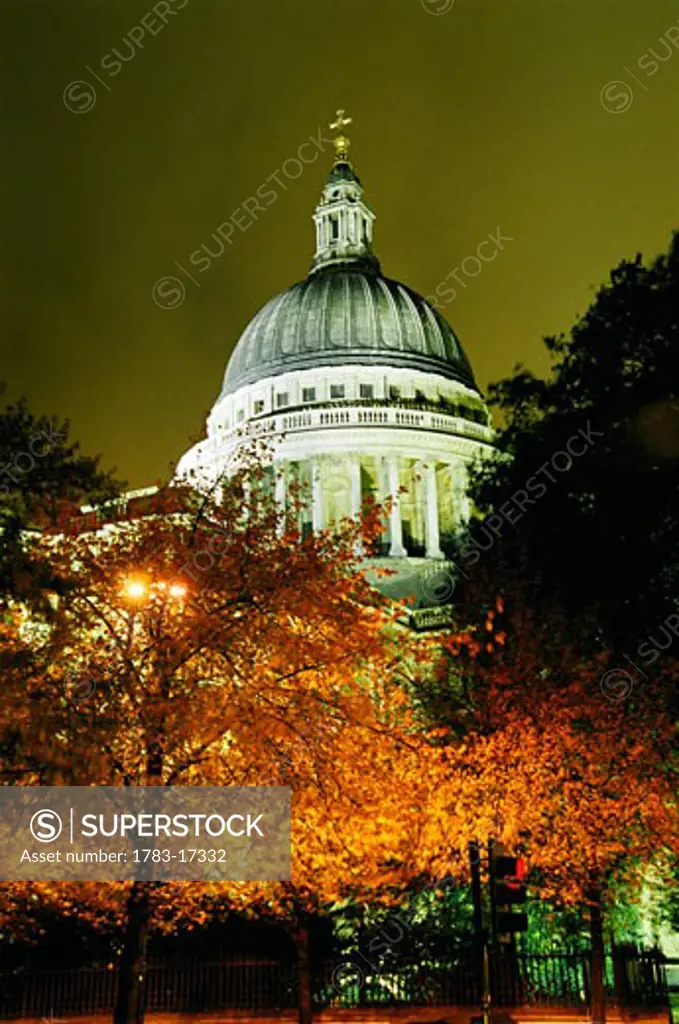 St Paul's Cathedral at night with trees, London, England