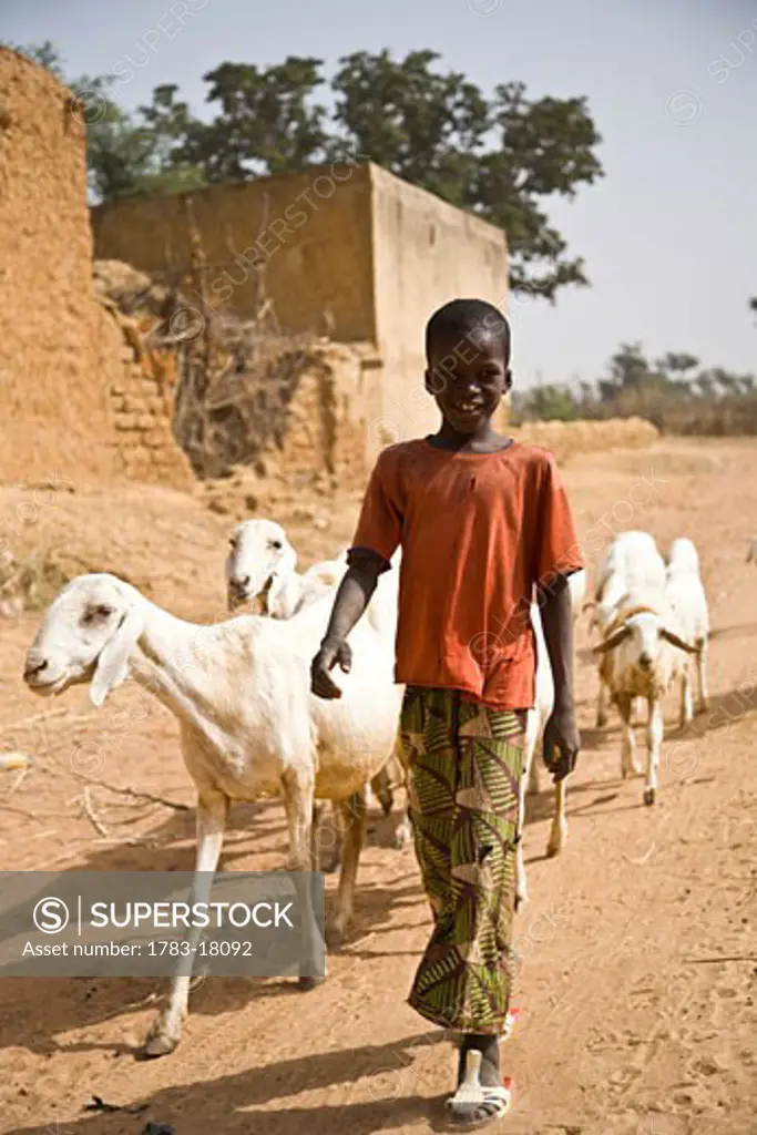 Boy herding goats, Segoukoro, Segou, Mali.