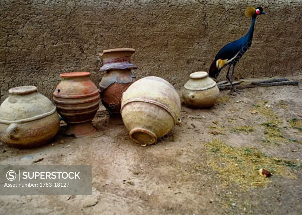 Pots and bird in Segou, Mali, West Africa