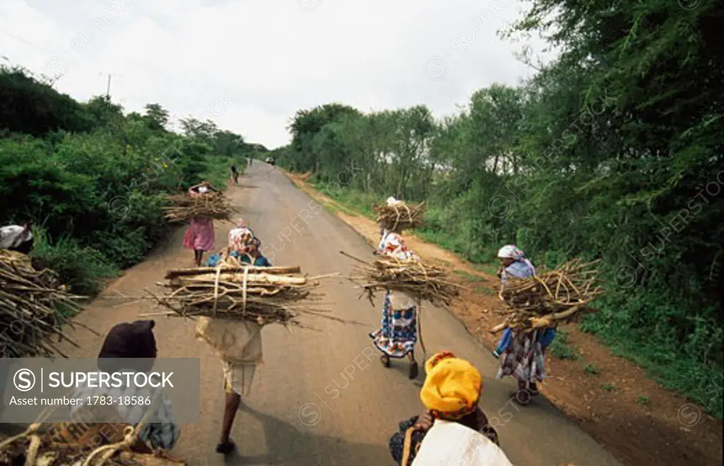 Women carrying firewood on country road, Malawi.