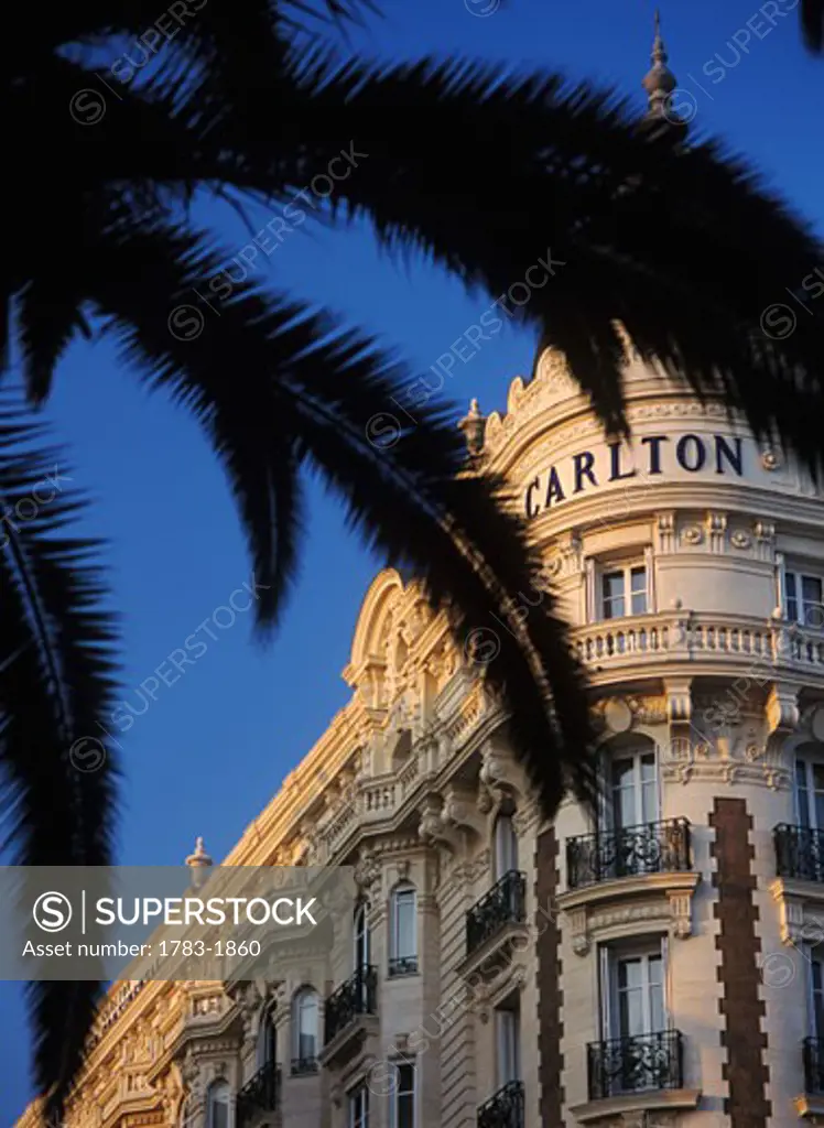 Looking through palm trees to The Carlton Hotel, Promenade de la Croisette, Cannes, France. 