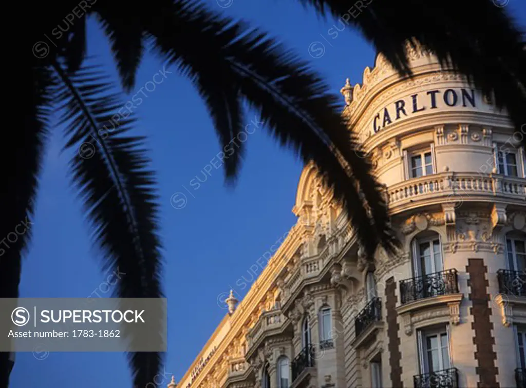 Looking through palm tree to the Carlton Hotel at dusk, Cannes, France. 