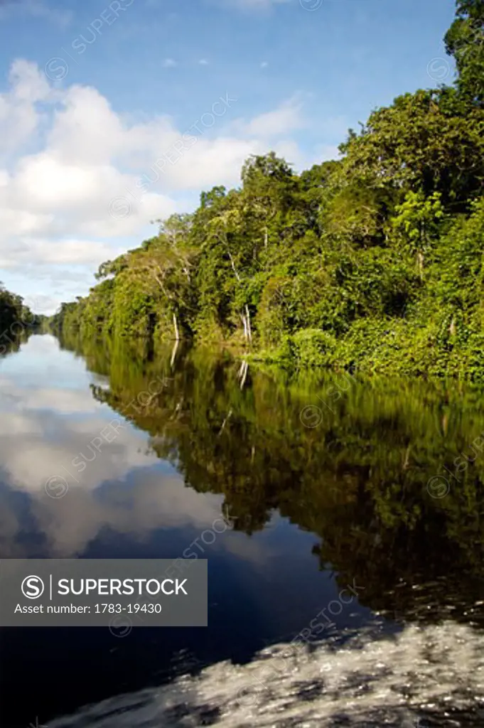 Reflections in tributary of Amazon River, Peru.
