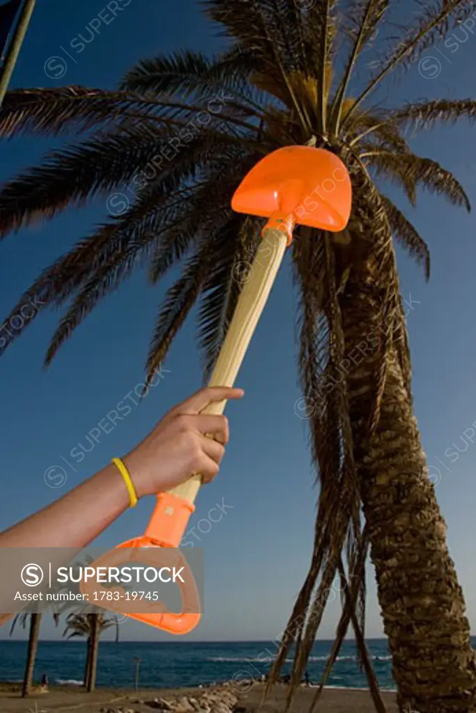 Person holding spade near palm tree on beach, Costa del Sol, Andalucia, Spain.